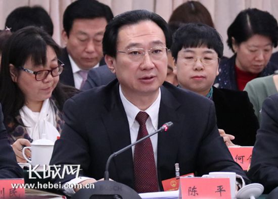 陈平代表:廊坊在推进京津冀协同发展中实现更大作为